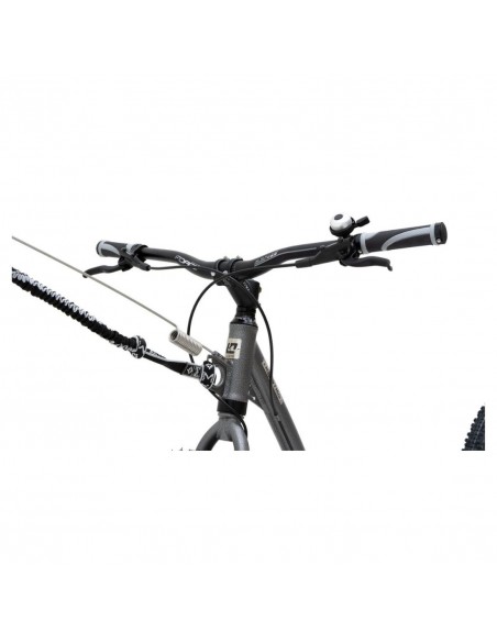 kostka mushing racer max g6