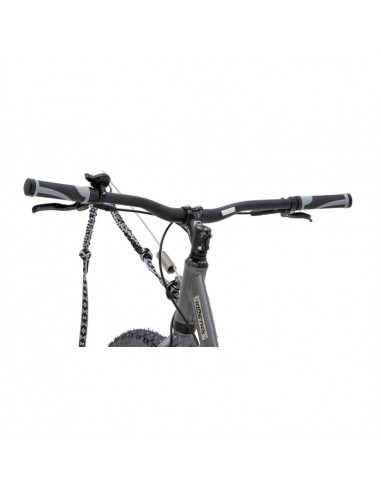 canitrottinette mushing racer max g6