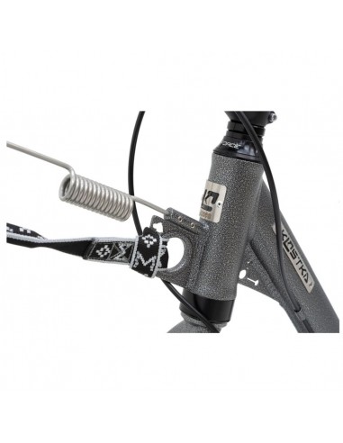 canitrottinette mushing