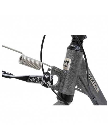 canitrottinette mushing