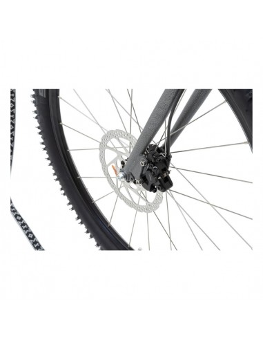 canitrottinette mushing racer max g6 antic silver