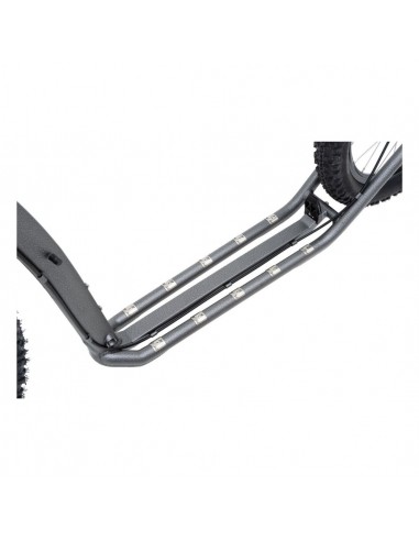 canitrottinette kostka antic silver