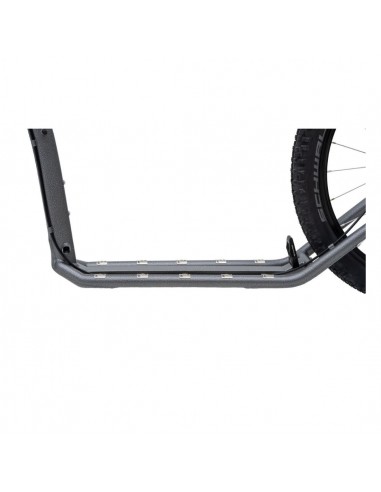 canitrottinette kostka mushing