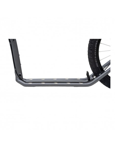 canitrottinette kostka mushing