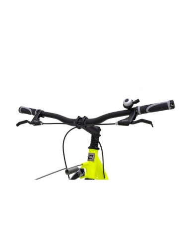 canitrottinette kostka mushing racer fun g6