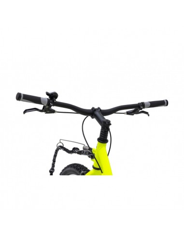 canitrotinette kostka mushing racer fun g6