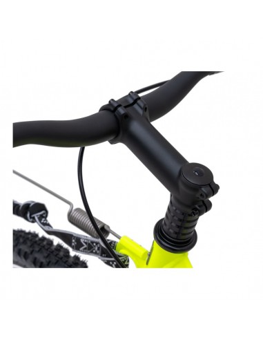 canitrottinette mushing racer fun g6