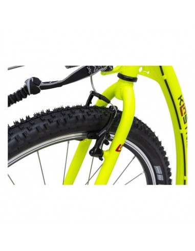 kostka mushing racer fun g6