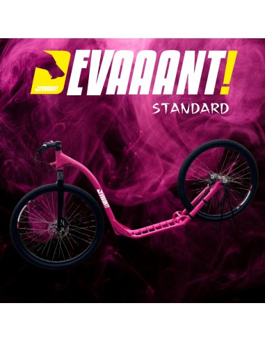 trottinette devaaant  standard
