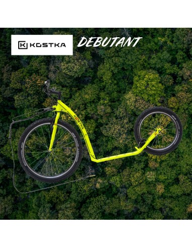 Kostka mushing racer fun