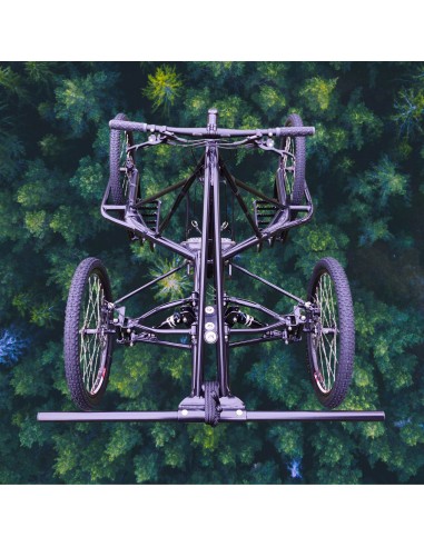 kart 4 wheel mushing