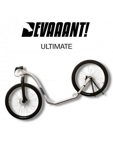 dogscooter devaaant blanc cassé