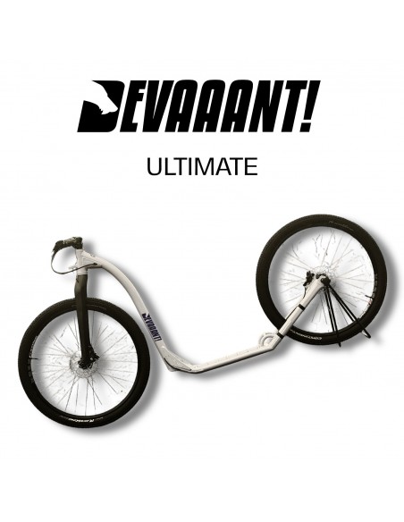 dogscooter devaaant blanc cassé