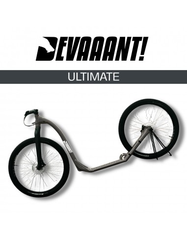 dogscooter devaaant gris