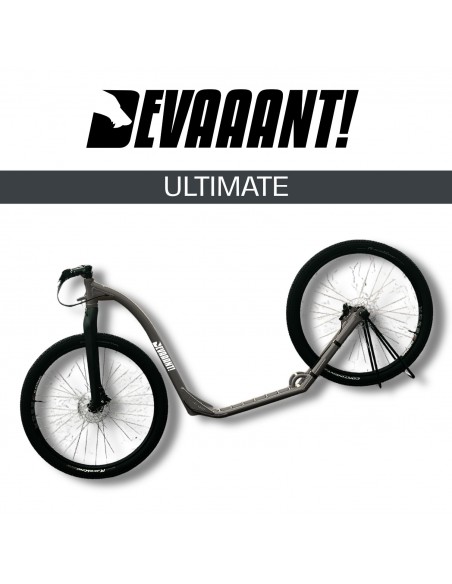 dogscooter devaaant gris