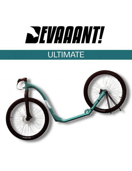 dogscooter devaaant vert eau