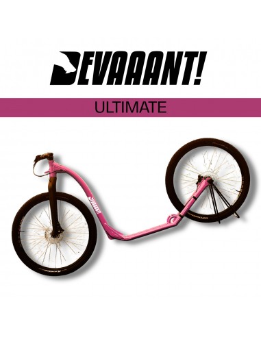 dogscooter devaaant rose