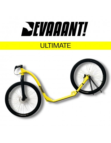 dogscooter devaaant jaune