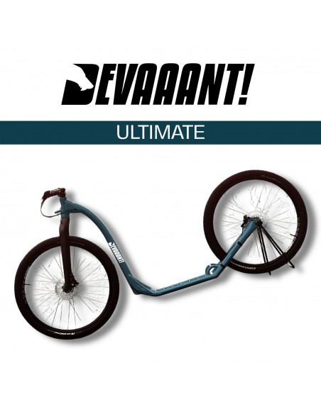 dogscooter devaaant vert bleu