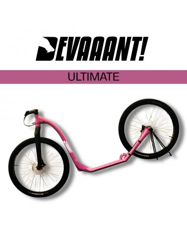 dogscooter devaaant violet