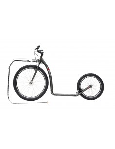 Kostka | Mushing Racer Fun G6 | Débutant 1er Prix