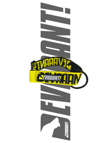 Racing Collar Medium