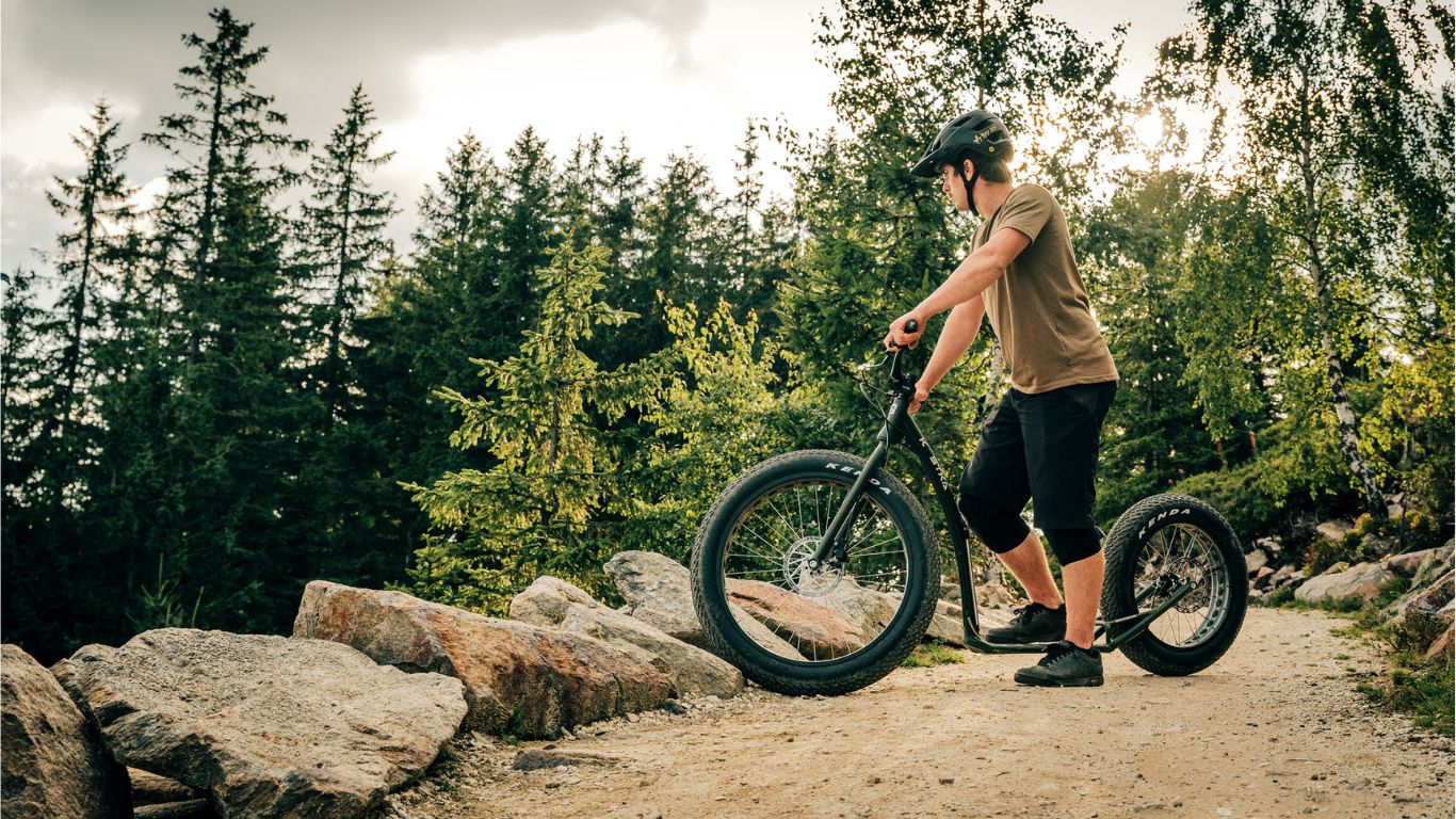 canitrottinette kostka monster max dog g6