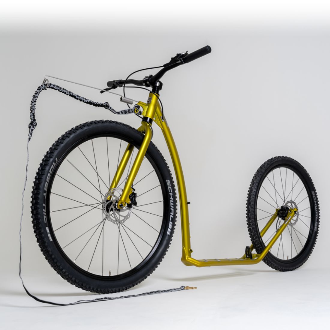 canitrottinette kostka trip max dog g7