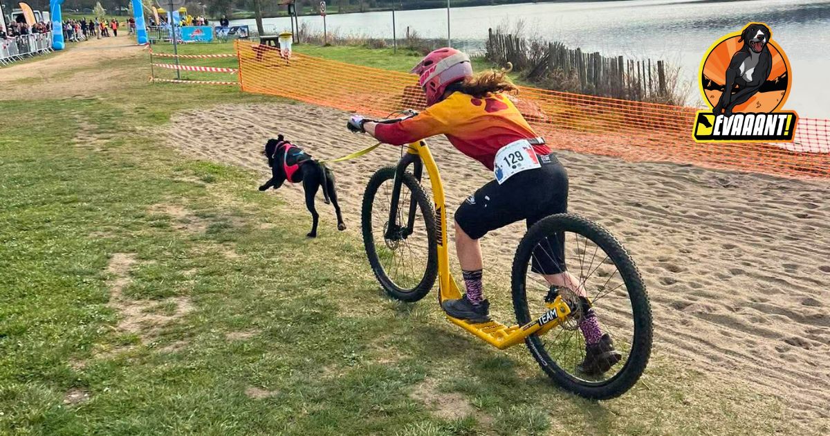 dogscooter french cup