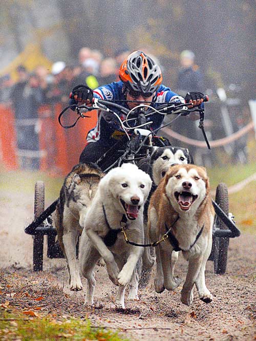 kart mushing rowerland